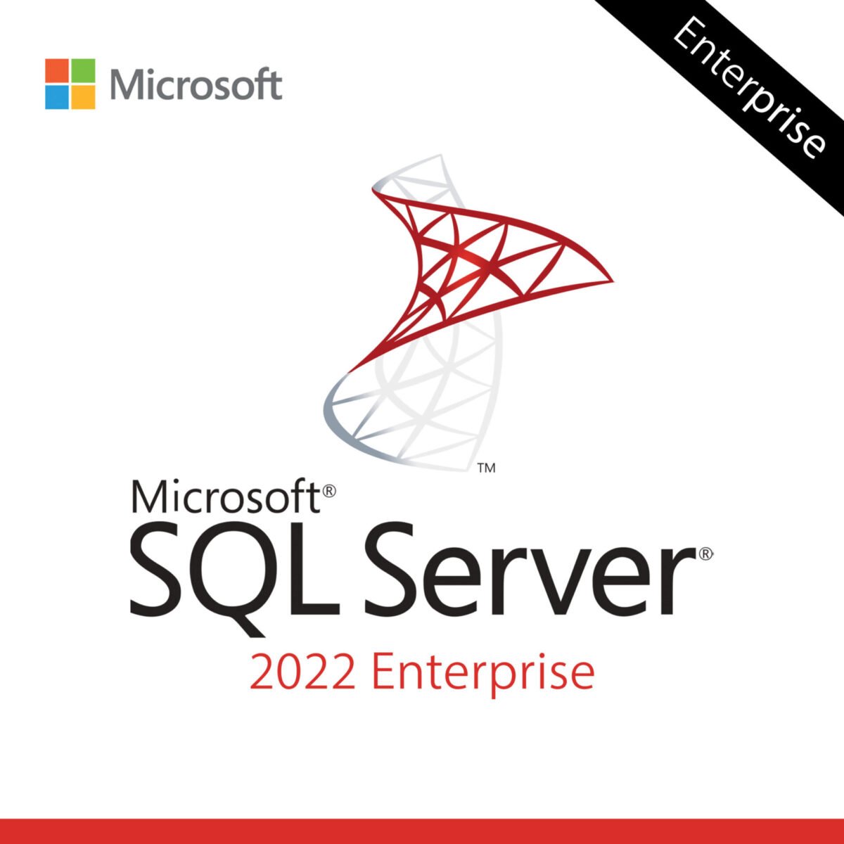Microsoft SQL Server Enterprise 2022 License Key